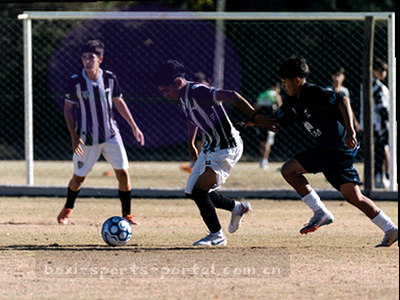 主客场表现近五轮数据统计表格示意图